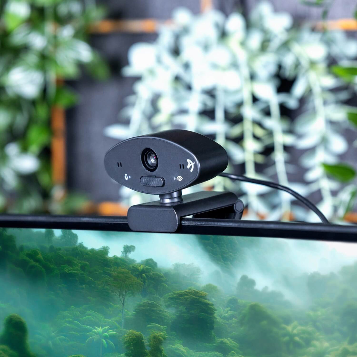 Arozzi Europe Occhio - True Privacy Webcam rests on a monitor; blurred plants in background.