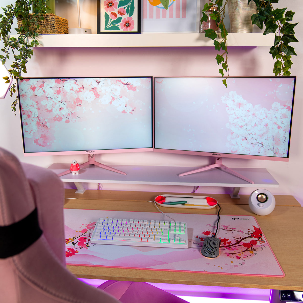 Arozzi Nova 27″ IPS 260Hz monitor, cherry blossom wallpaper, and RGB keyboard.