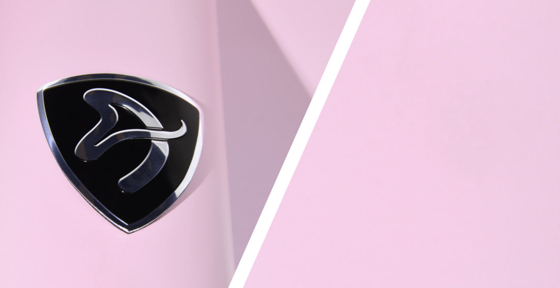 Black and silver shield logo on a light pink background with a diagonal white stripe.