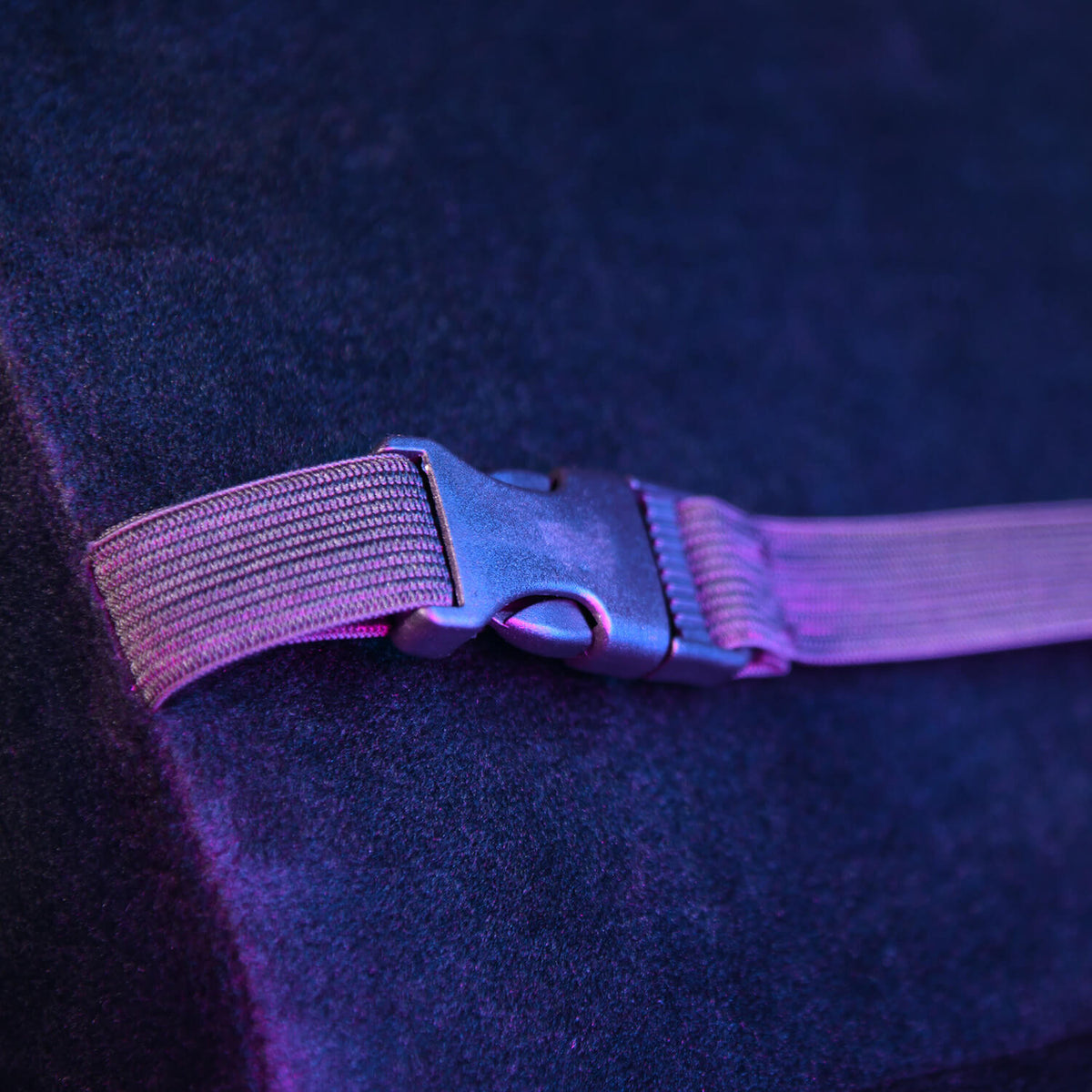 Purple strap with a plastic buckle on a dark surface, illuminated by colored lighting.