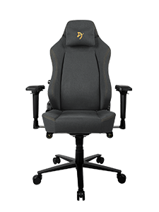 Black ergonomic gaming chair with headrest, armrests, and wheels on a white background.